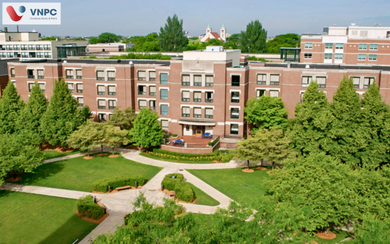DePaul University